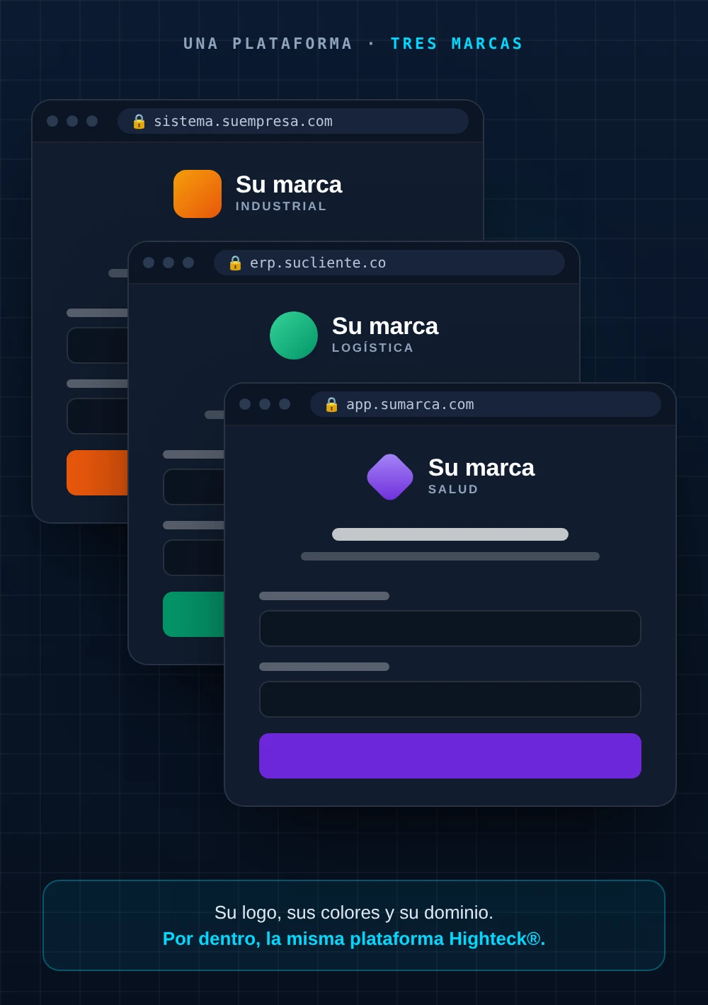 Tres pantallas de ingreso de la misma plataforma, cada una con el logo, los colores y el dominio de una marca distinta